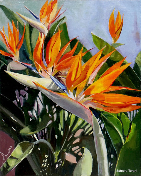 Bird of Paradise