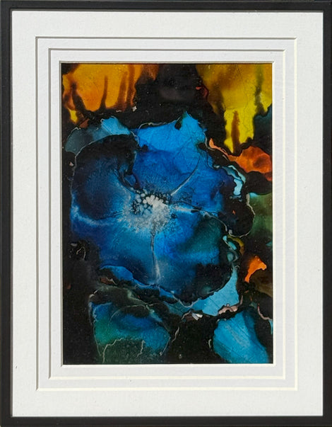 Blue Poppy