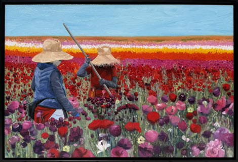 Fields of Dreams
