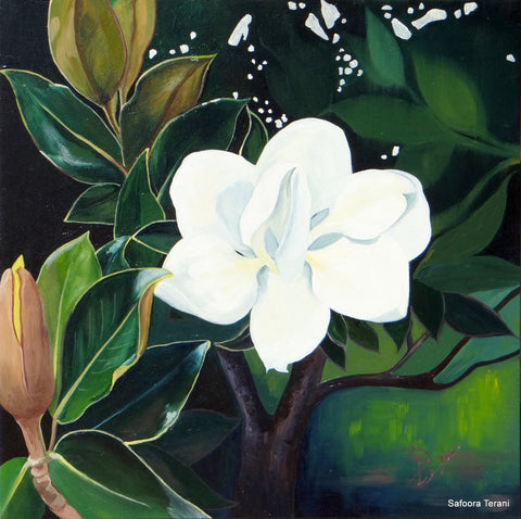 Magnolia