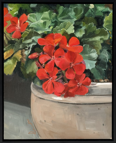Red Geraniums
