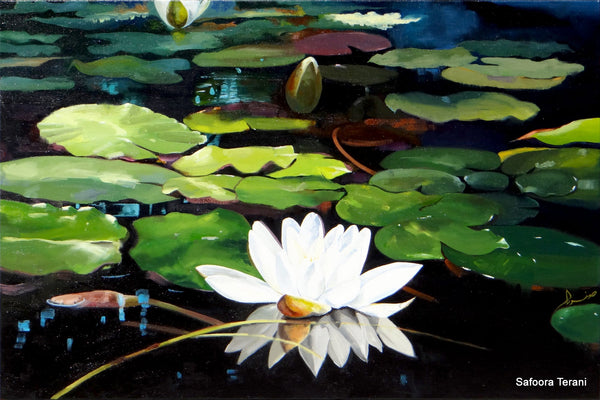 Water Lily
