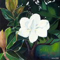 Magnolia