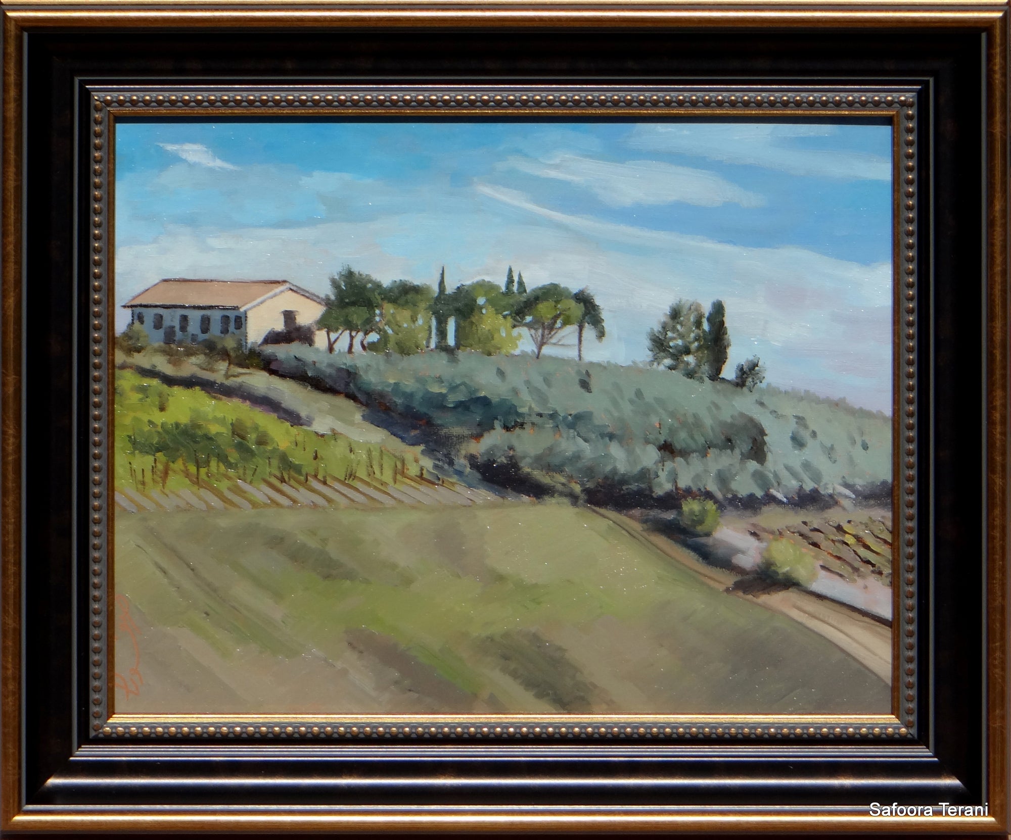 Tuscany Scenery